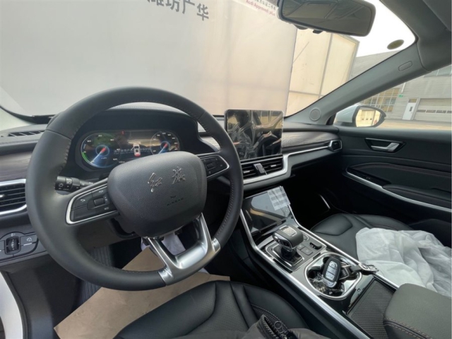 Hongqi E-HS3 2021 из Китая от 24,100$