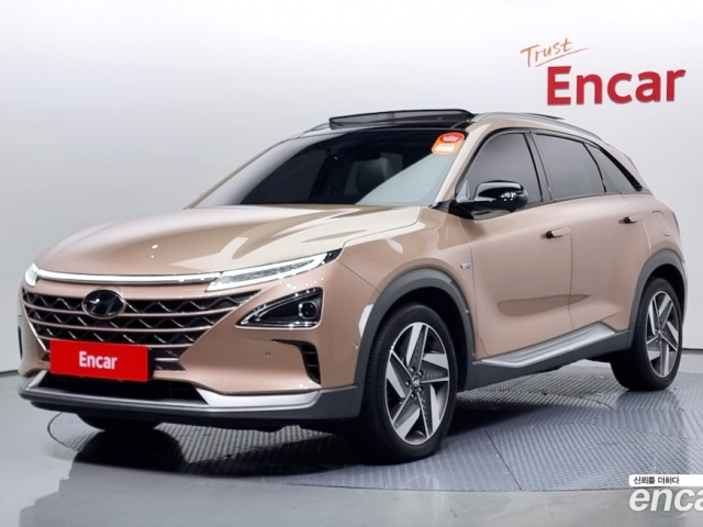 Hyundai Nexo Premium 2019