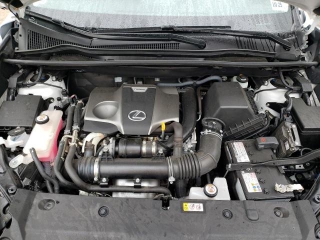 LEXUS NX 300 BASE 2021 из США от 19,000$