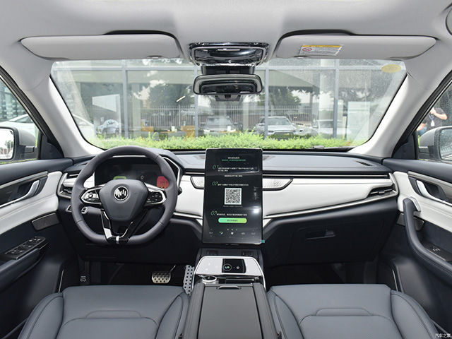 Weltmeister EX5 2021