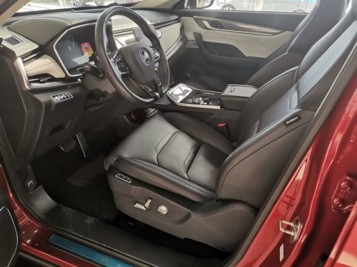 Weltmeister EX5 2020