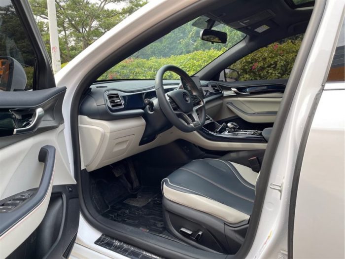 BYD Qin Plus 2021