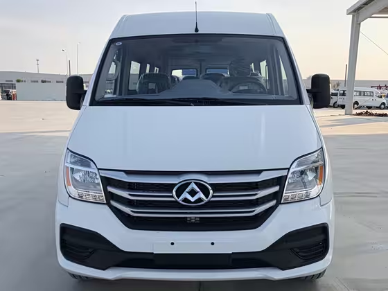 Maxus EV80 2019