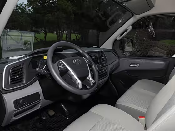 Maxus EV80 2019
