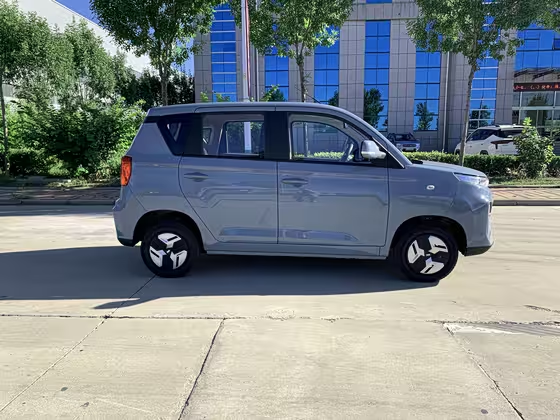 Linktour Colorful 2023