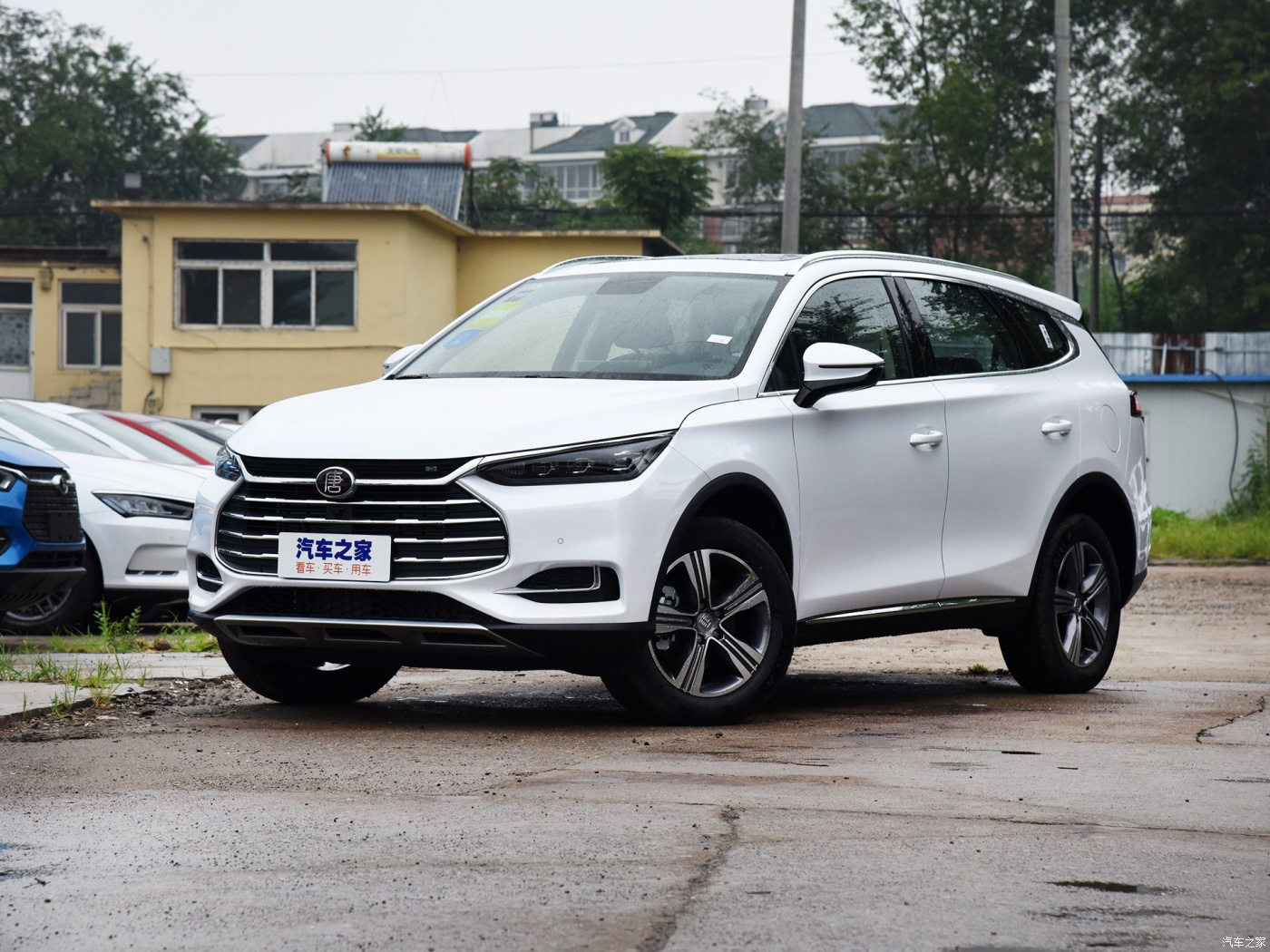 BYD Tang 2019
