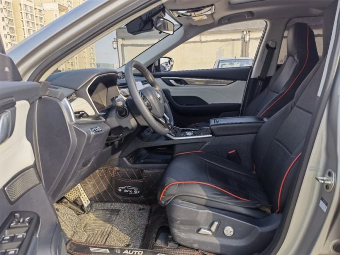 Weltmeister EX5 2020