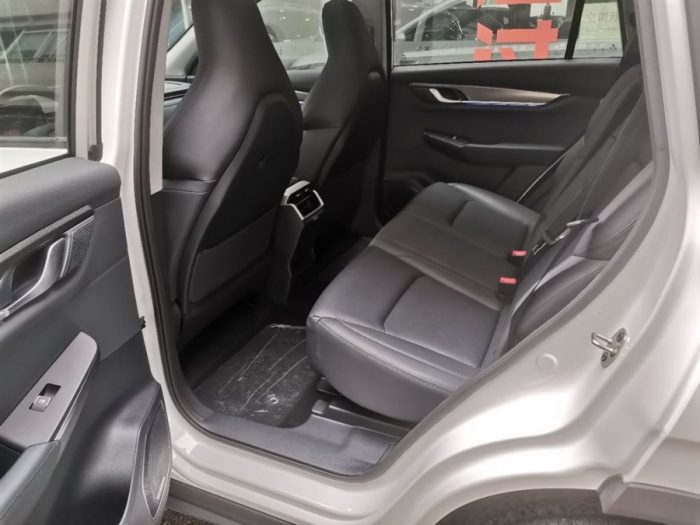 Weltmeister EX6 2020