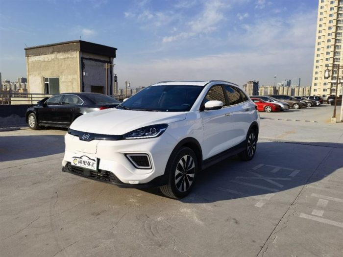 Weltmeister EX5 2021