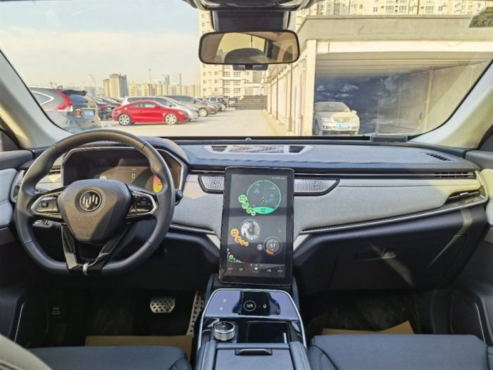 Weltmeister EX5 2021