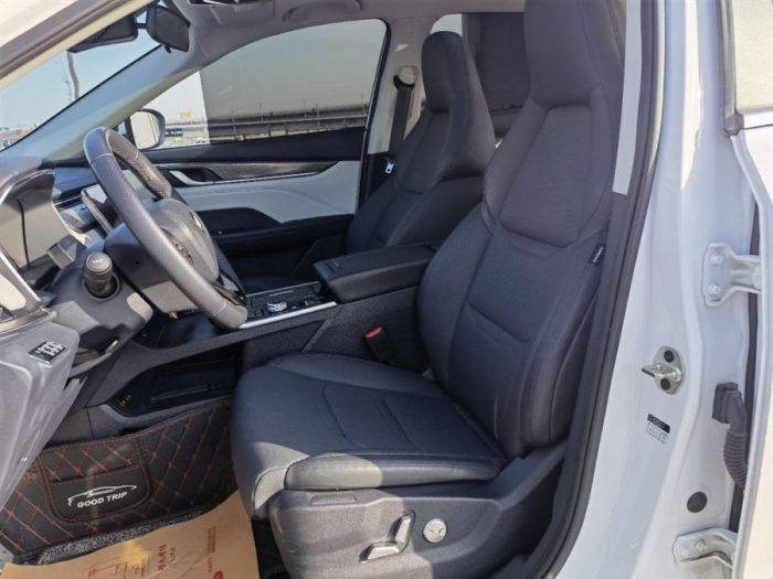 Weltmeister EX5 2021