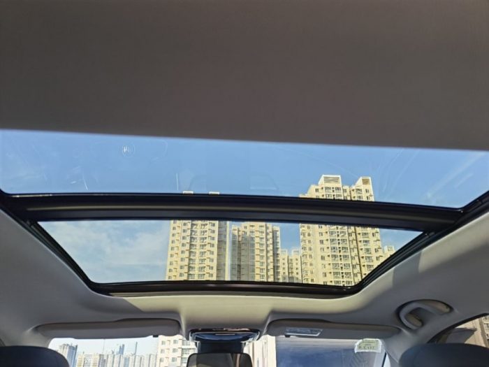 Weltmeister EX5 2021