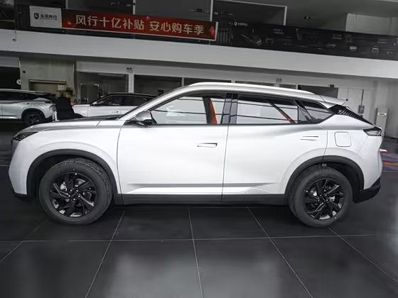 Dongfeng Haohan 2025