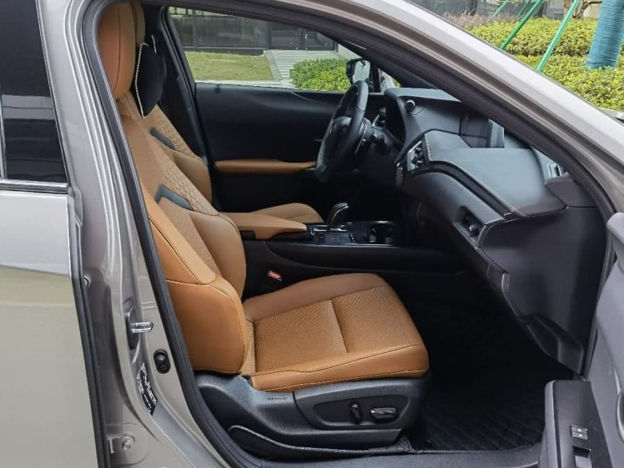 Lexus UX New Energy 2020