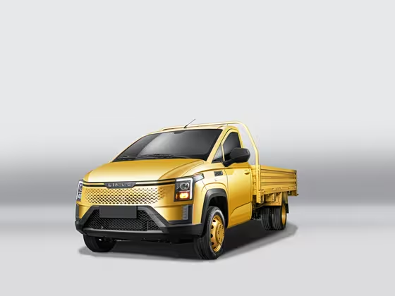 Linxys Ryosei Gold Card 2023