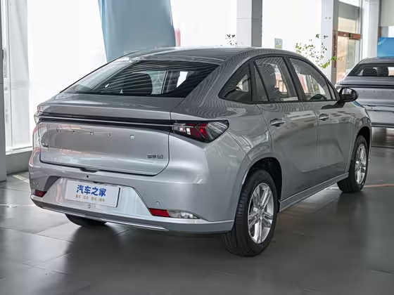 Maple Cao Cao 60 2024