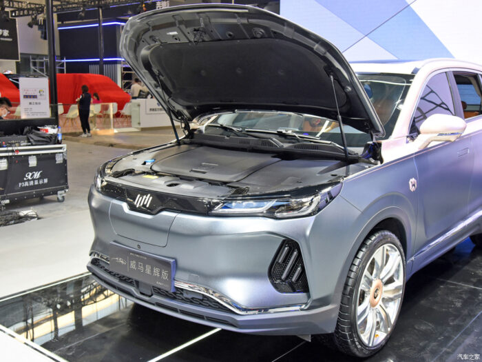 Weltmeister EX6 2022