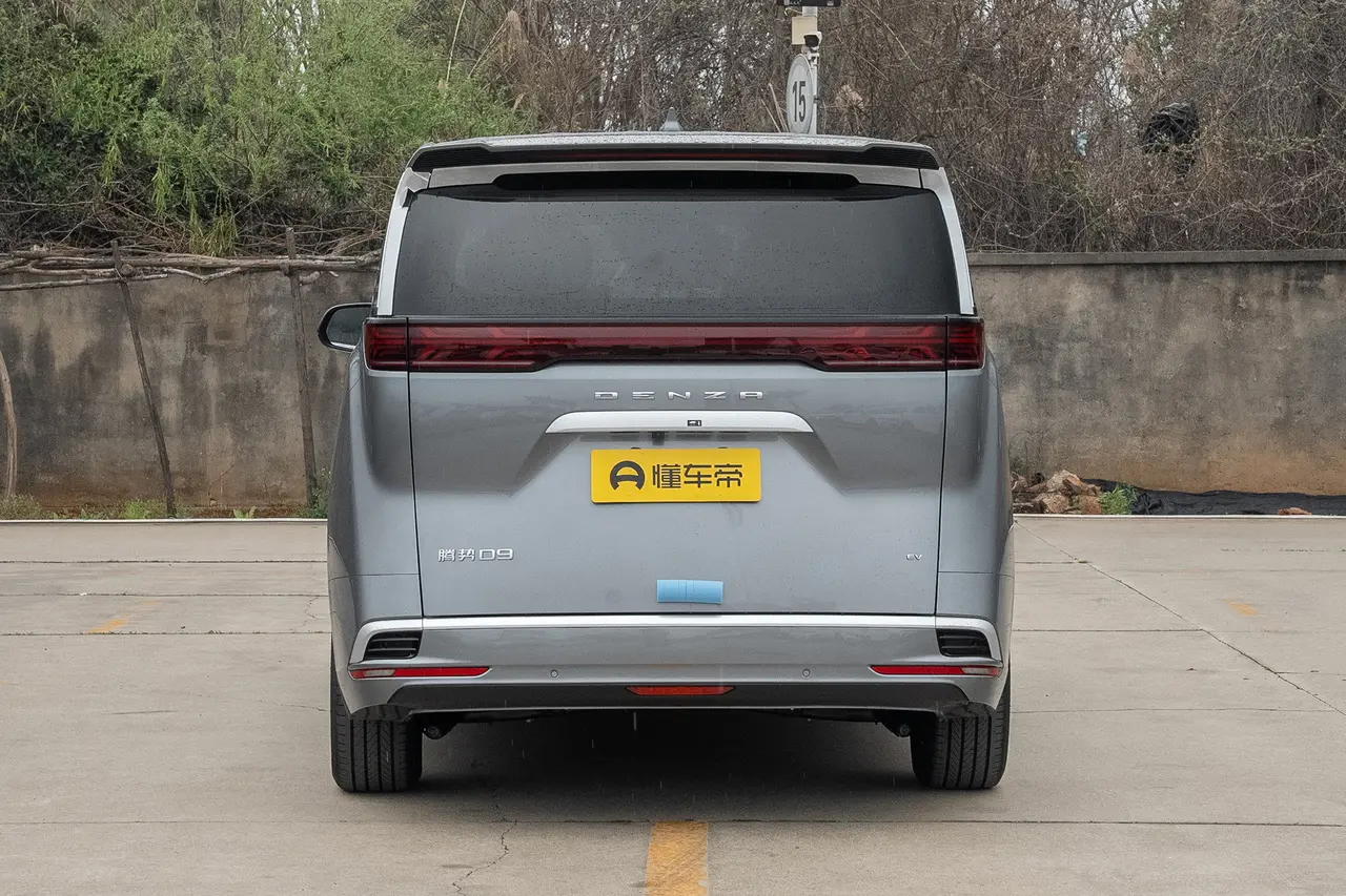Denza D9 2024
