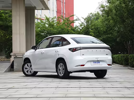 Maple Cao Cao 60 2024