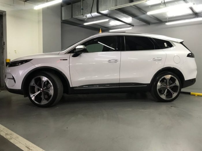 Denza X 2020