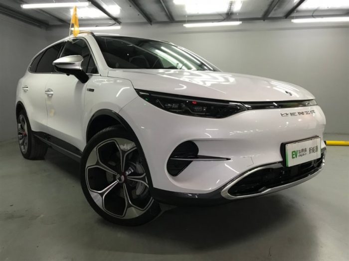 Denza X 2020