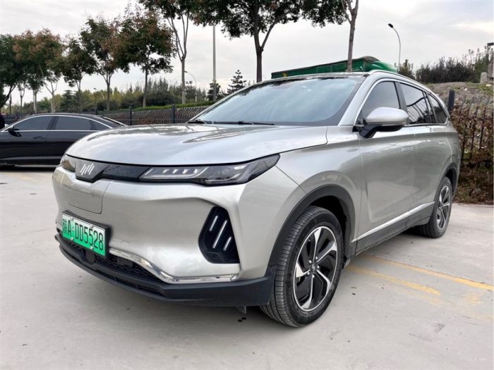 Weltmeister EX6 2021