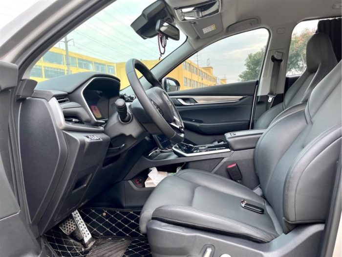 Weltmeister EX6 2021