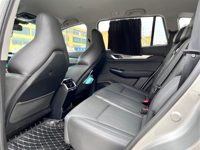 Weltmeister EX6 2021