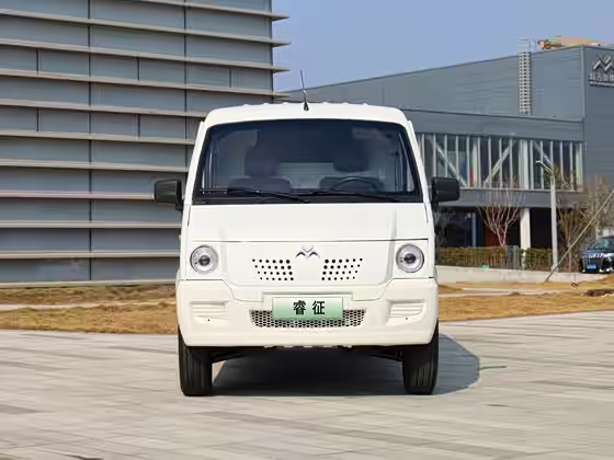 New go now GEORIZHENG 2024