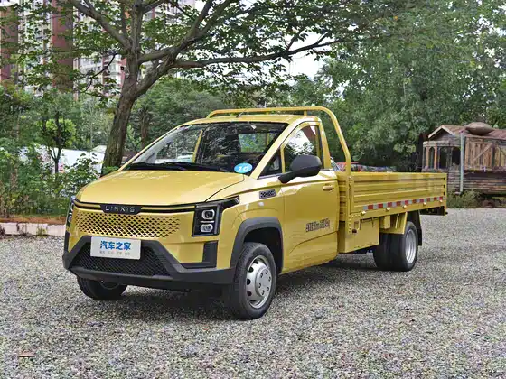 Linxys Ryosei Gold Card 2024