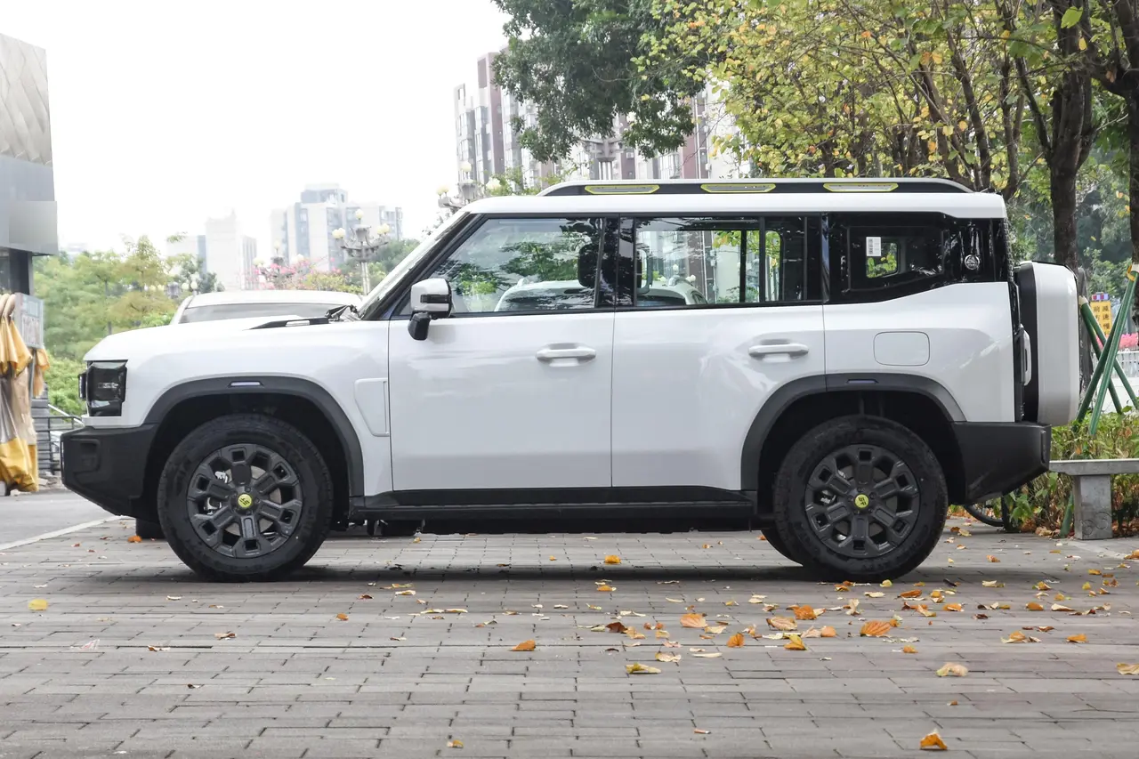 Jetour Shanhai C-DM 2024