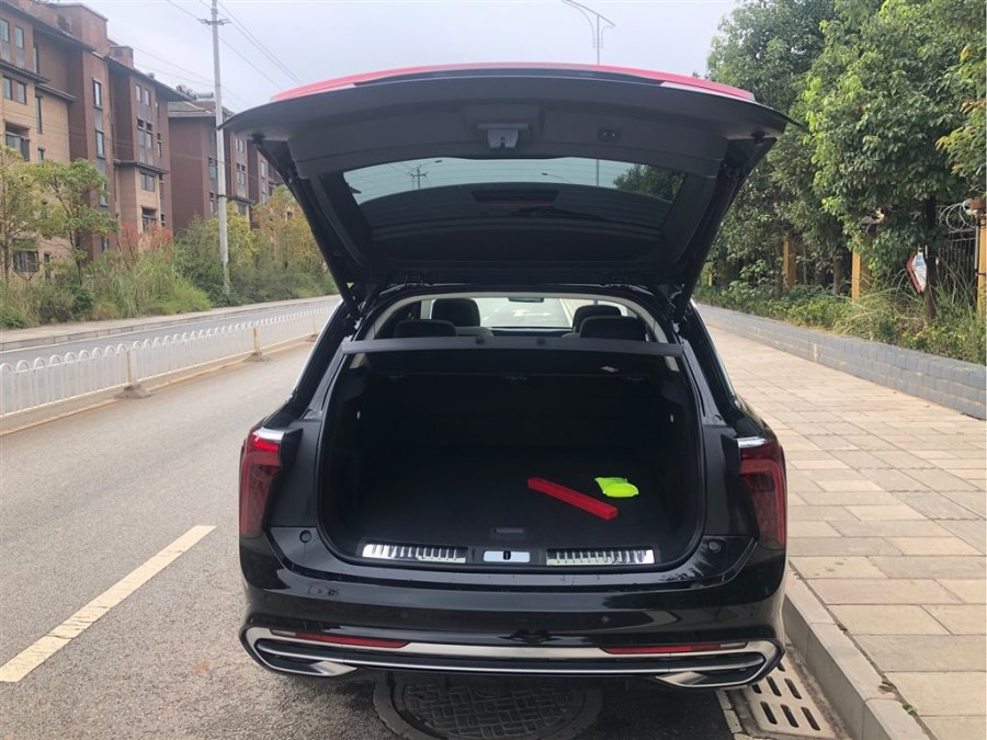 Hongqi E-HS9 2021