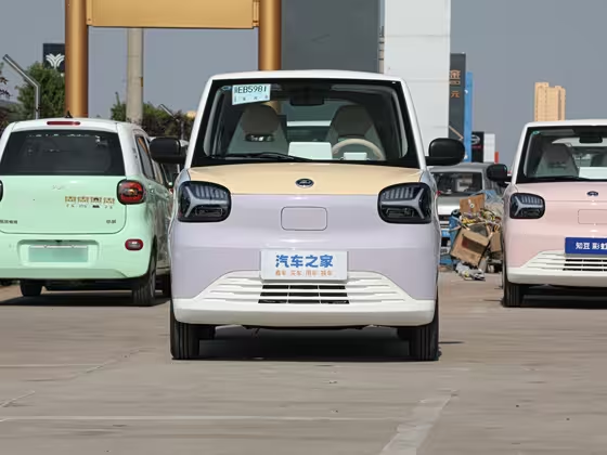 ZD Zhidou Rainbow 2024