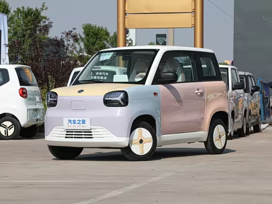 ZD Zhidou Rainbow 2024