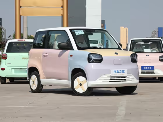 ZD Zhidou Rainbow 2024