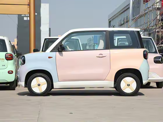 ZD Zhidou Rainbow 2024