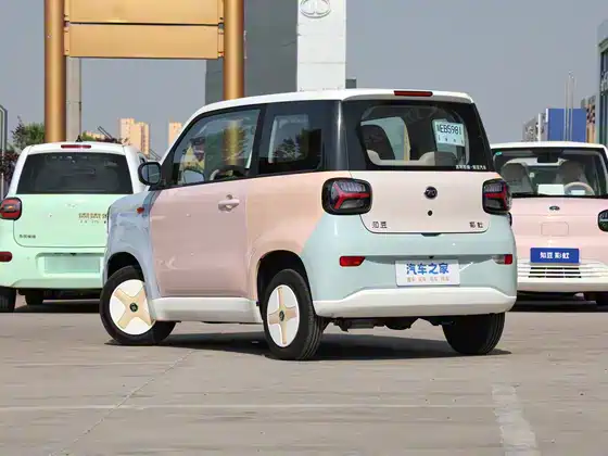 ZD Zhidou Rainbow 2024