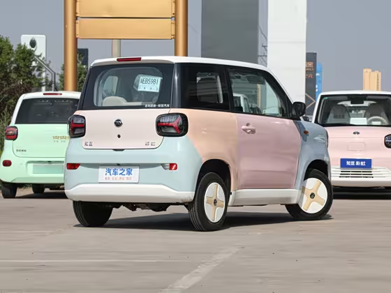 ZD Zhidou Rainbow 2024