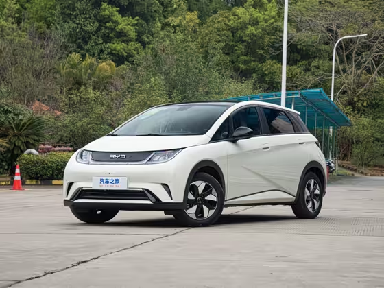BYD Dolphin 2024