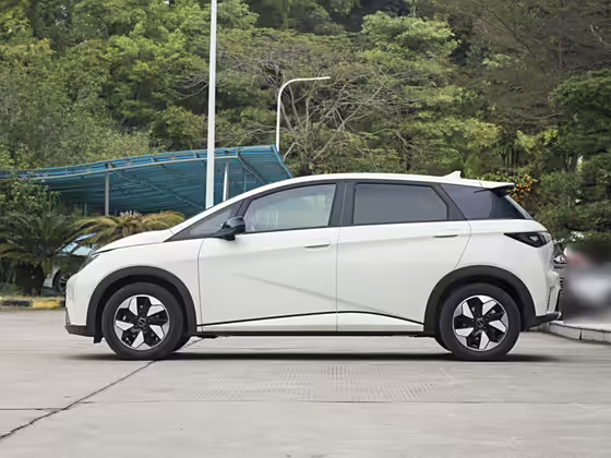 BYD Dolphin 2024