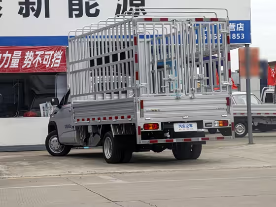 Linxys Ryosei Gold Card 2023