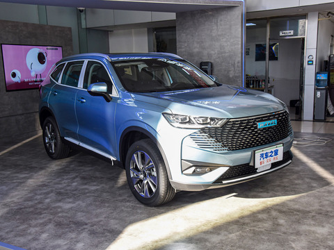 Haval H6 New Energy 2024