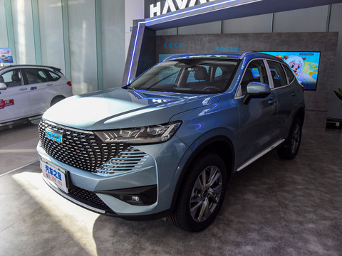 Haval H6 New Energy 2024