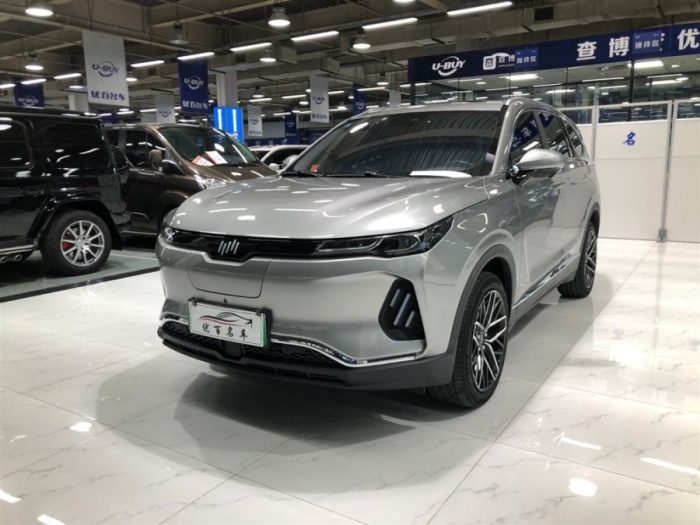 Weltmeister EX6 2020