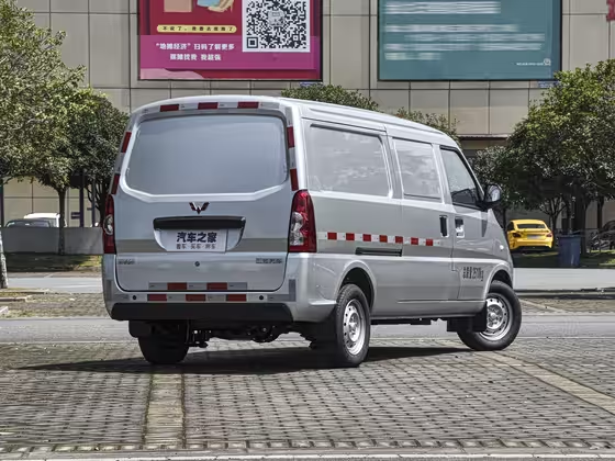 Wuling EV50 2021