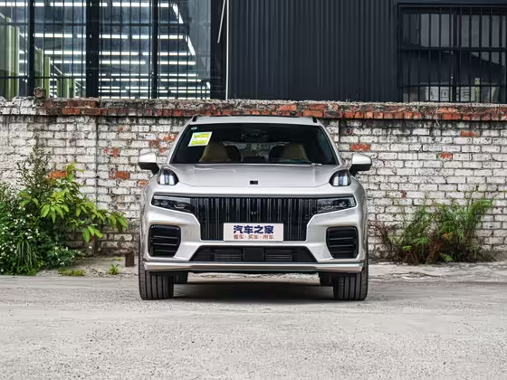 Lynk &amp; Co 09 EM-P 2021