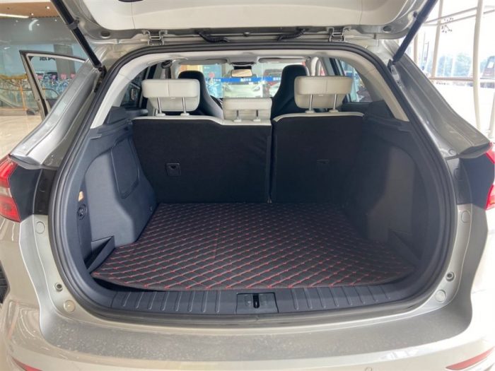 Weltmeister EX5 2020