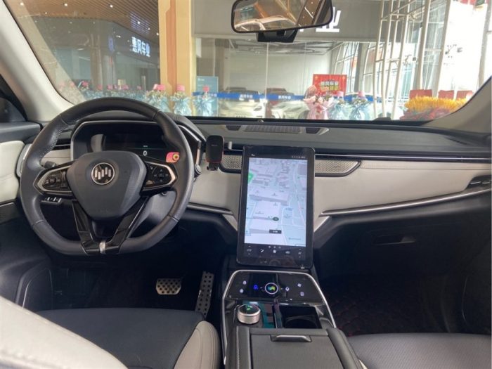 Weltmeister EX5 2020