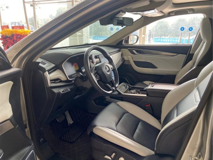 Weltmeister EX5 2020