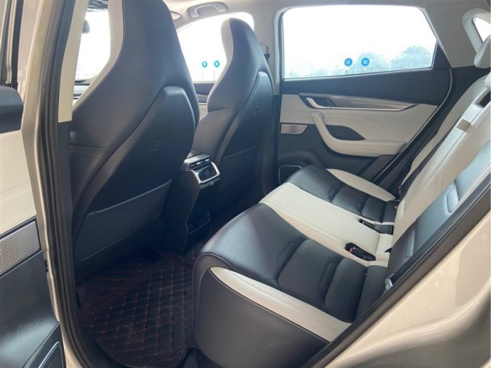 Weltmeister EX5 2020